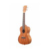 KALA MAHOGANY CONCERT UKULELE NO BINDING Укулеле