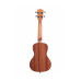 KALA MAHOGANY CONCERT GLOSS UKULELE Укулеле
