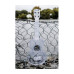KALA WATERMAN TRANSLUCENT SOPRANO UKULELE Укулеле