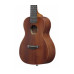IBANEZ UKC100-OPN Укулеле