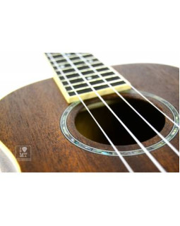 FENDER UKULELE ZUMA CONCERT NATURAL WN Укулеле-foto12