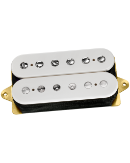 DIMARZIO NORTON (White) DIMARZIO NORTON (White)
