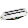 DIMARZIO SATCH TRACK (White)