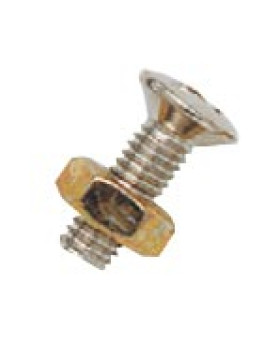 PAXPHIL PL3010 LES PAUL PICKGUARD SCREW