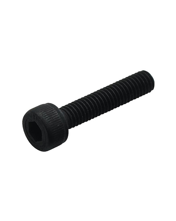 WARWICK SP W30151 Bridge Height Adjustment Locking Screw