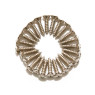DIMARZIO FH1000C PICKGUARD / BACKPLATE SCREWS - SET OF 24 (CHROME)