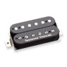 SEYMOUR DUNCAN TB-PG1B PEARLY GATES TREMBUCKER BLACK Звукознімач