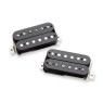 SEYMOUR DUNCAN APH2S Набір звукознімачів