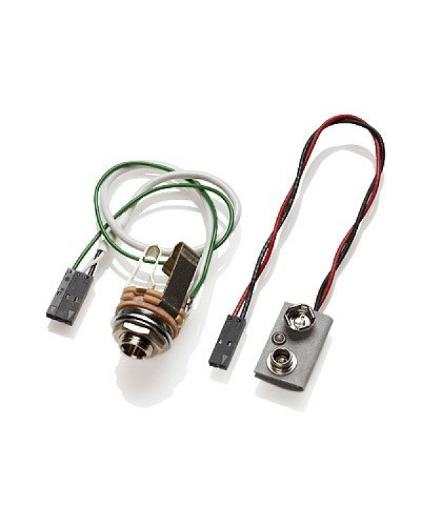 EMG DG20 IVORY - Іменна панель David Gilmour (Pink Floyd) EMG DG20 IVORY - Іменна панель David Gilmour (Pink Floyd)