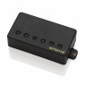 EMG FH2A - пасивний звукознімач для гітари. Хамбакер (алніко-сталь)