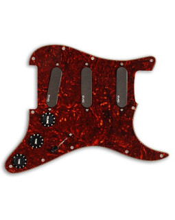 EMG VG20 (evo1) - Іменна панель Vince Gill